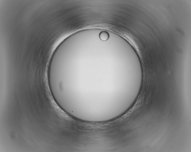 X0000112020952200908031039