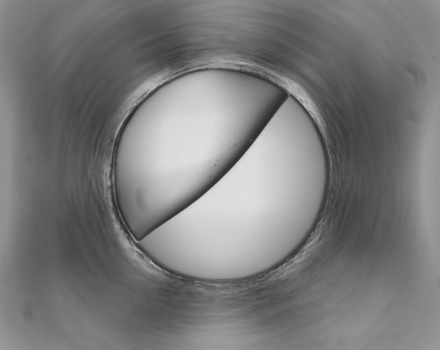 X0000112020954200908031039