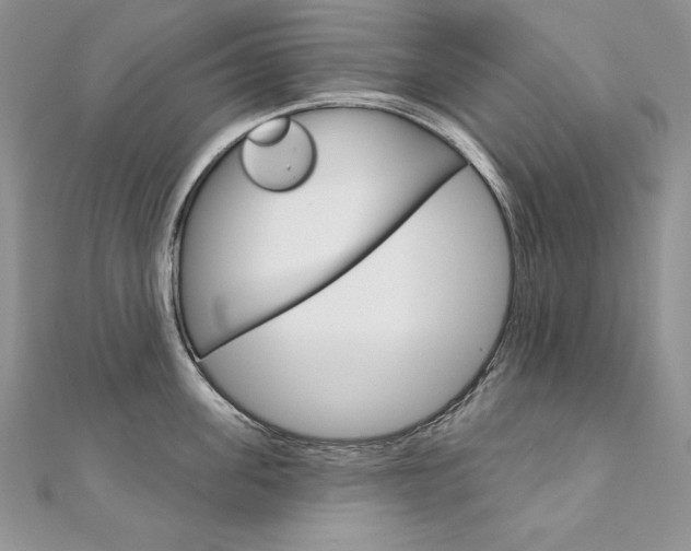 X0000112020955200908031039
