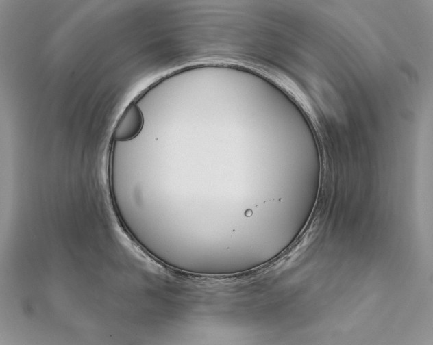 X0000112020958200908031039