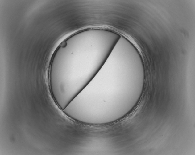 X0000112020959200908031039