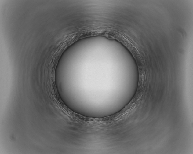 X0000112020961200908031038