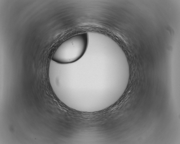 X0000112020965200908031038