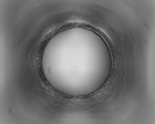 X0000112020967200908031038