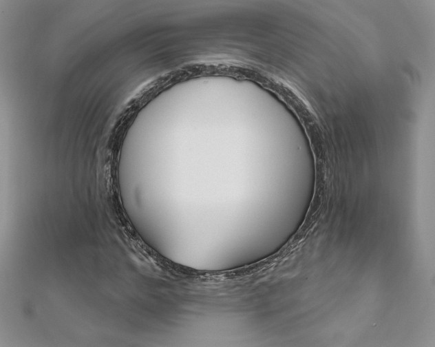 X0000112020968200908031038