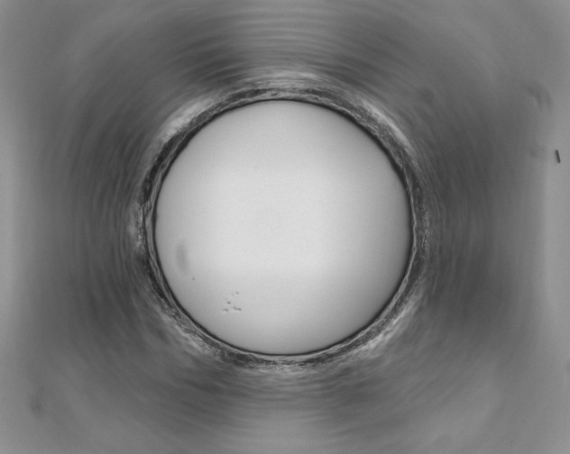 X0000112020970200908031038