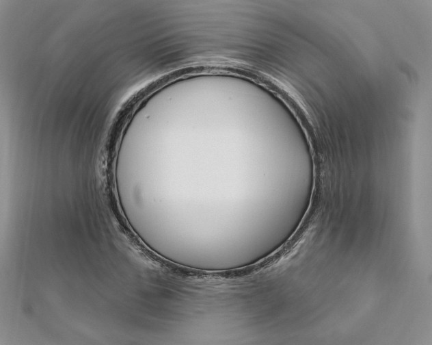 X0000112020971200908031038