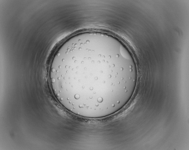 X0000112020974200908031038