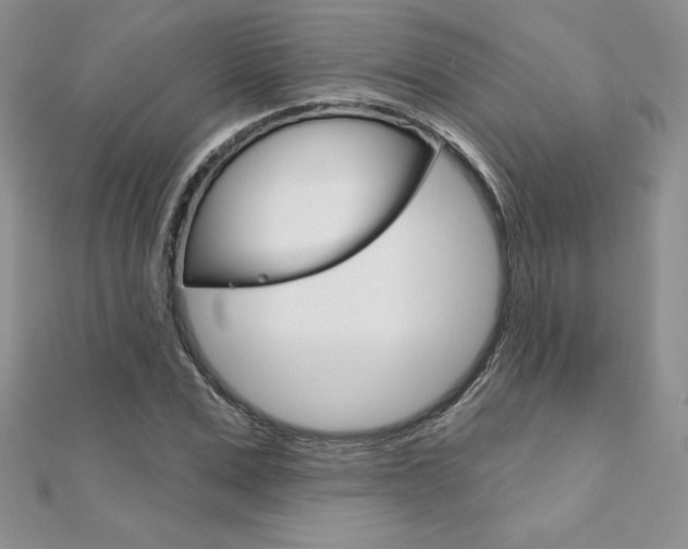 X0000112020975200908031038