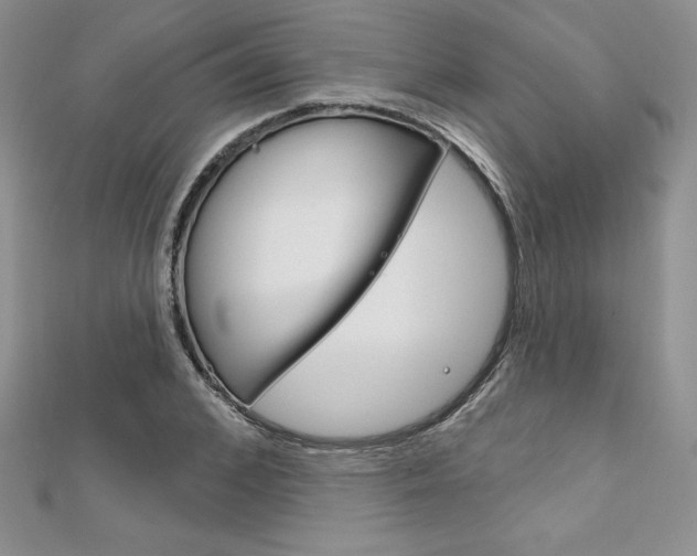 X0000112020976200908031038