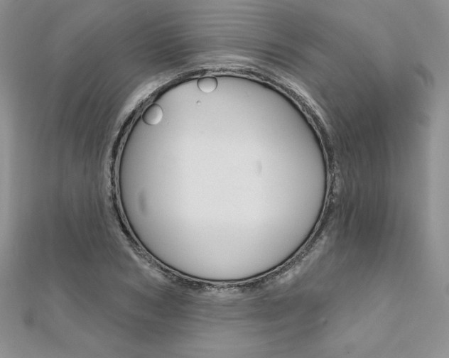 X0000112020978200908031038