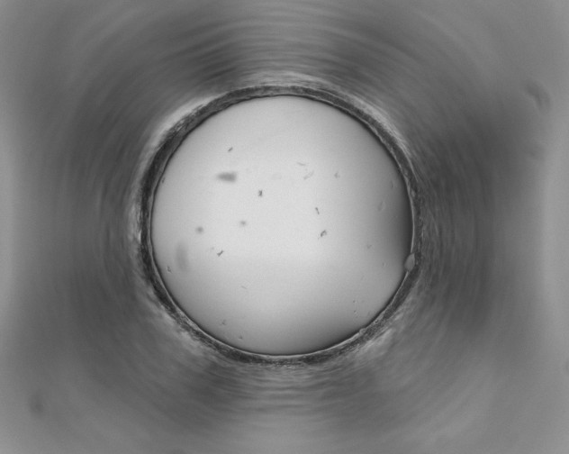 X0000112020979200908031038