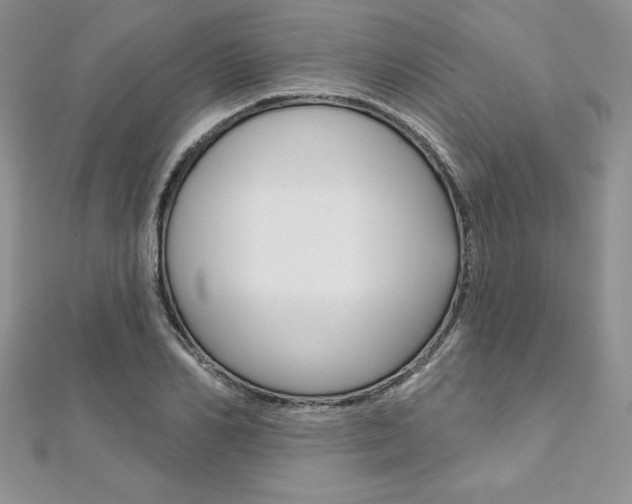 X0000112020982200908031038