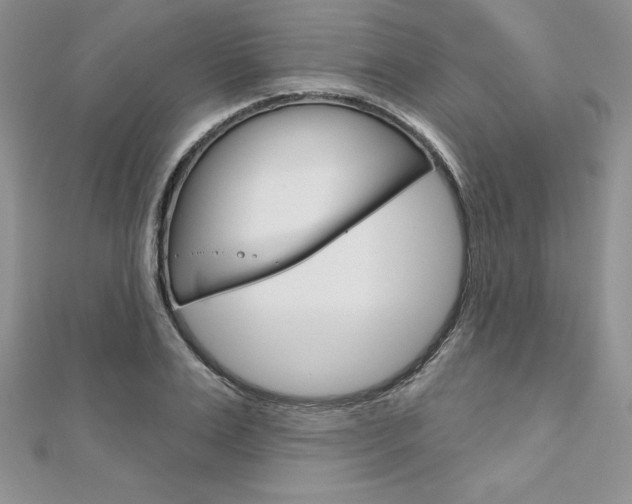 X0000112020983200908031038