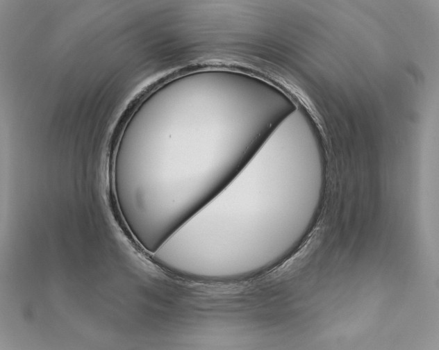 X0000112020984200908031038