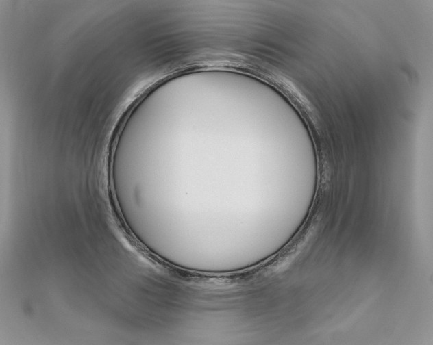 X0000112020986200908031038