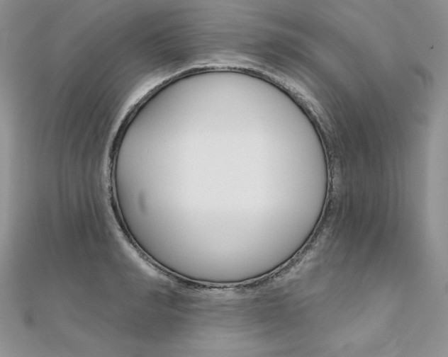X0000112020990200908031038