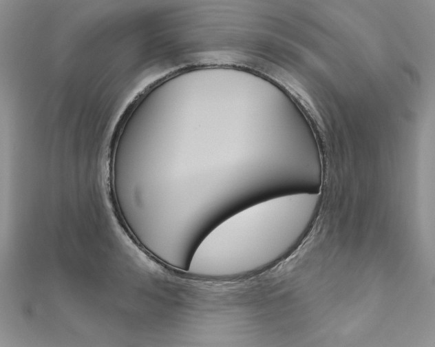X0000112020992200908031038