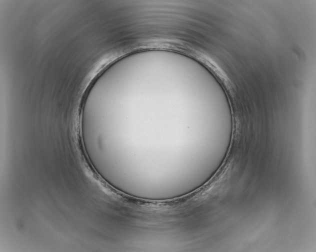 X0000112020994200908031038