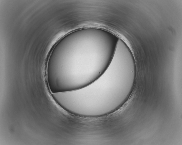 X0000112020997200908031038