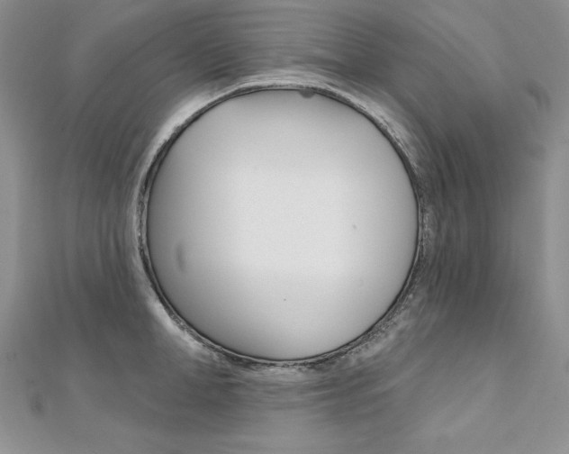 X0000112020998200908031038