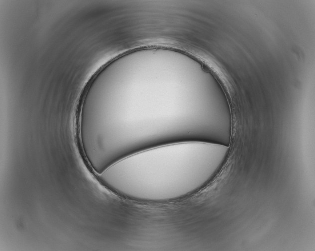 X0000112020999200908031038