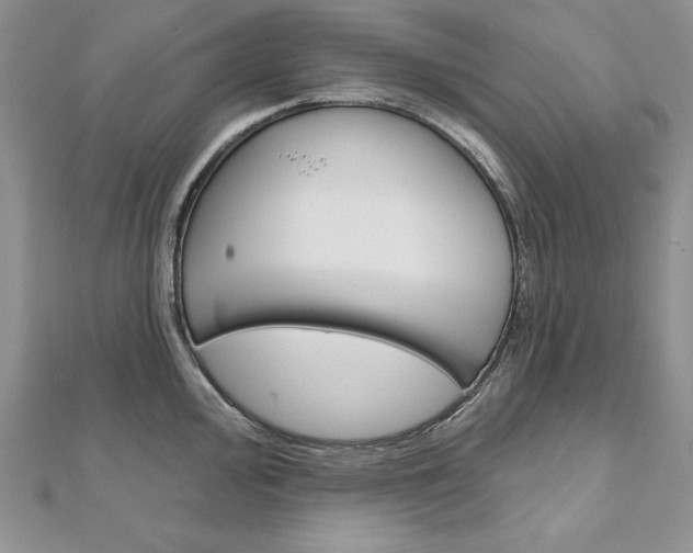 X0000112021000200908031038