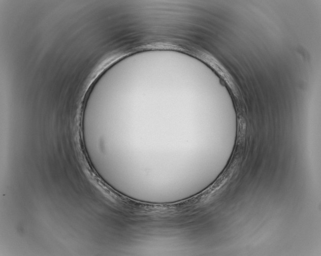 X0000112021002200908031038