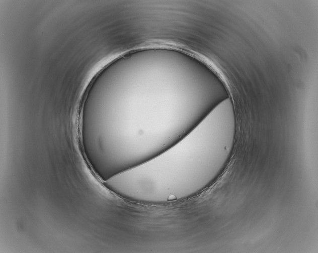 X0000112021003200908031038