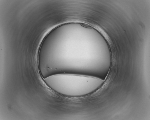 X0000112021004200908031038