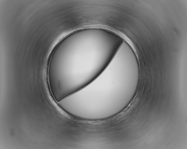 X0000112021005200908031038