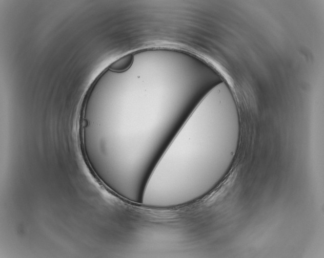 X0000112021007200908031038