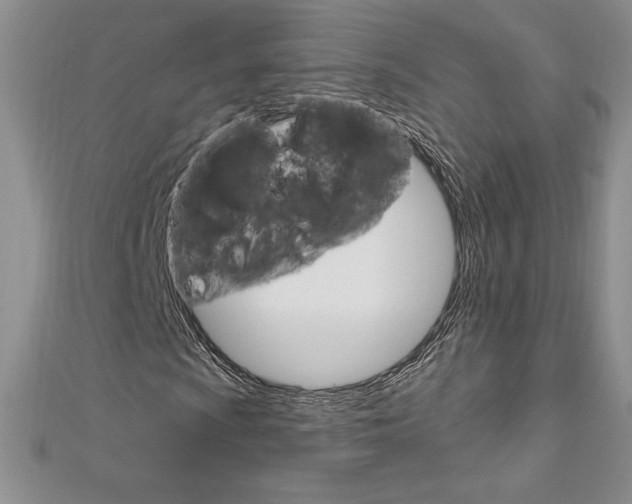 X0000112021009200908031037