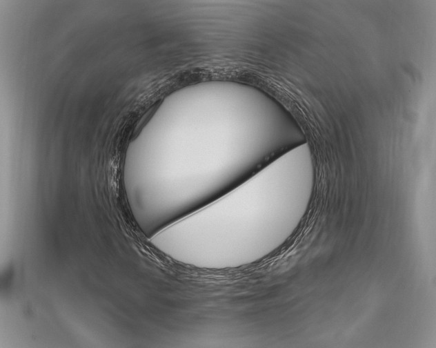 X0000112021010200908031037