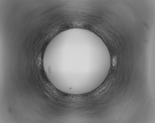 X0000112021011200908031037