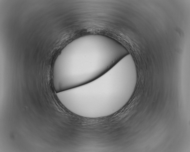 X0000112021012200908031037