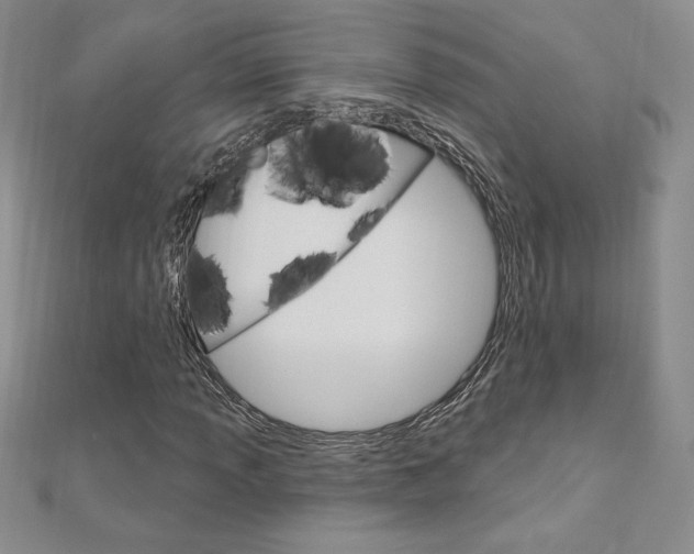 X0000112021013200908031037