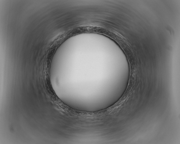 X0000112021014200908031037