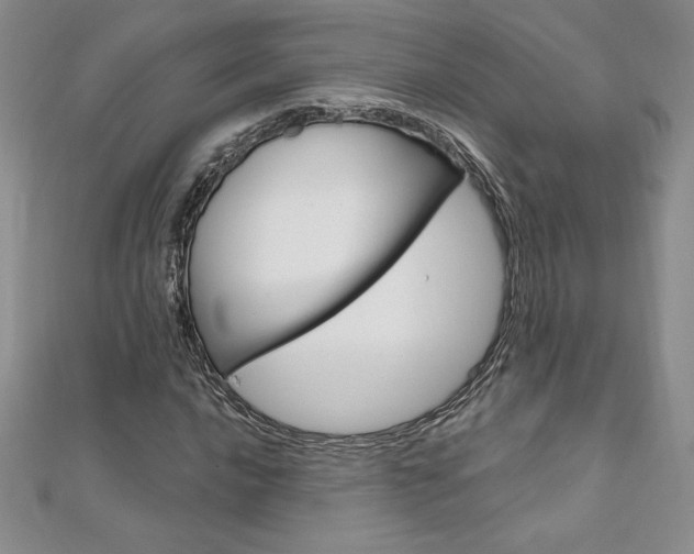 X0000112021016200908031037