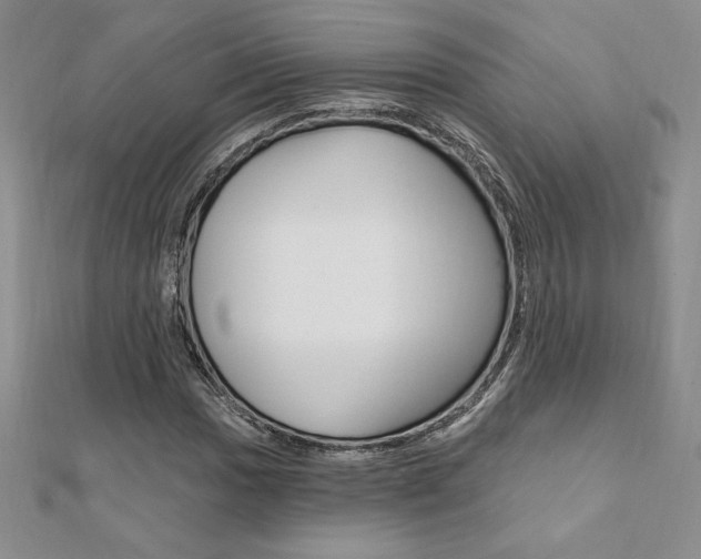 X0000112021017200908031037