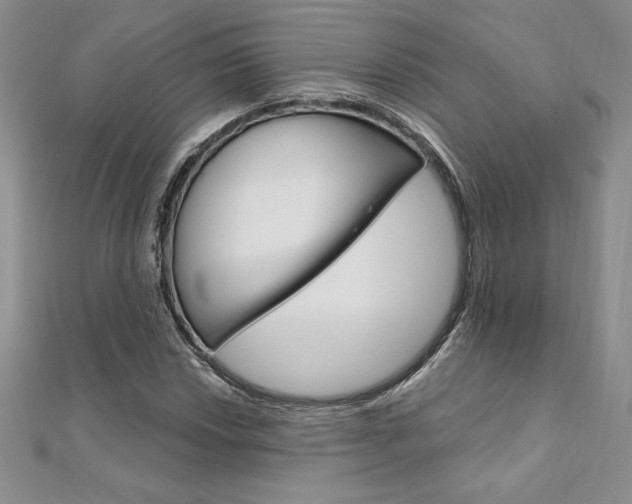 X0000112021018200908031037