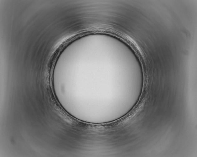 X0000112021019200908031037