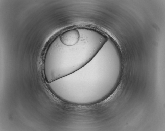 X0000112021021200908031037