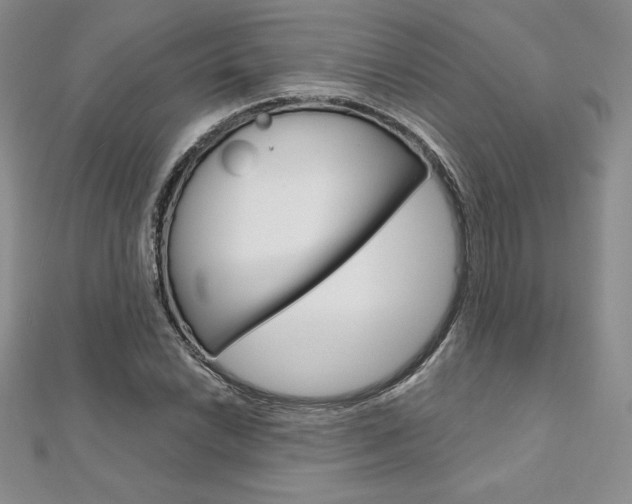 X0000112021022200908031037