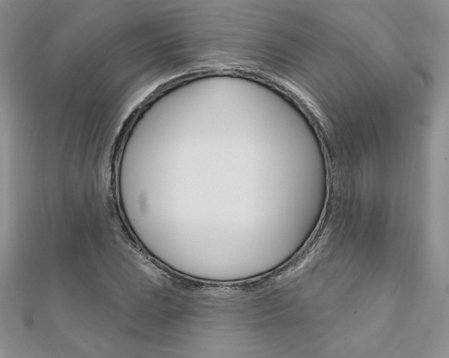 X0000112021023200908031037