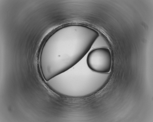 X0000112021024200908031037