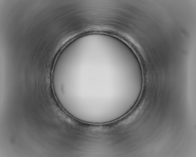 X0000112021025200908031037