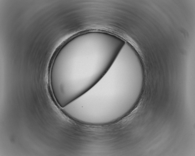 X0000112021028200908031037