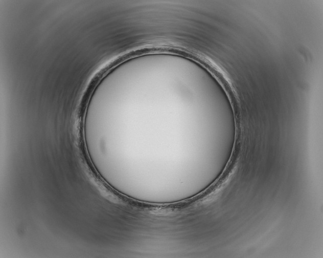 X0000112021029200908031037