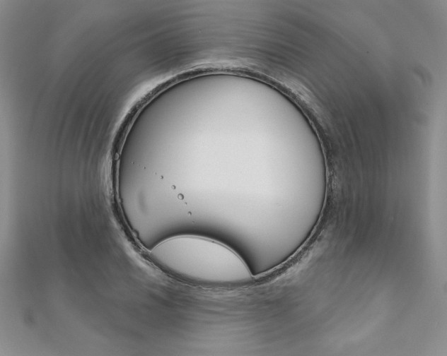 X0000112021030200908031038